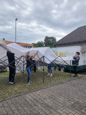 Bild 001